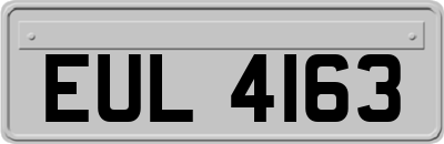 EUL4163