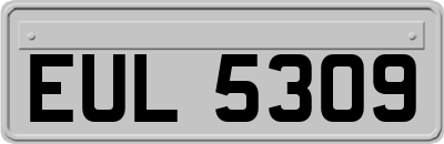 EUL5309