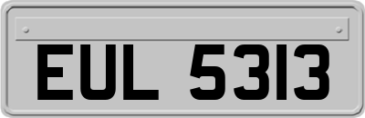 EUL5313