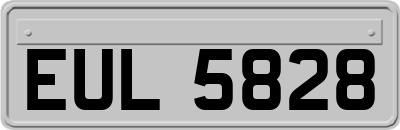 EUL5828