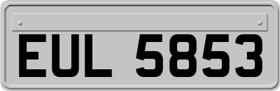 EUL5853