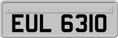 EUL6310