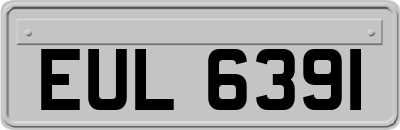 EUL6391