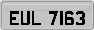 EUL7163