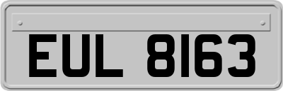 EUL8163