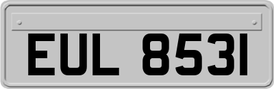 EUL8531