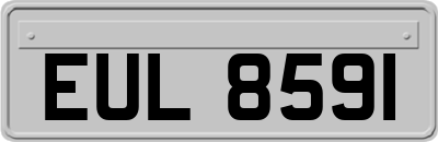 EUL8591