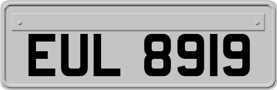 EUL8919
