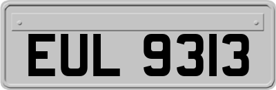 EUL9313