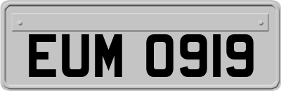 EUM0919