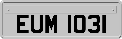 EUM1031