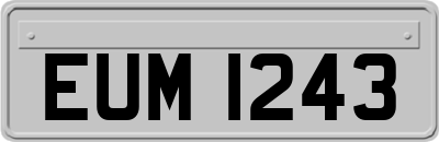 EUM1243