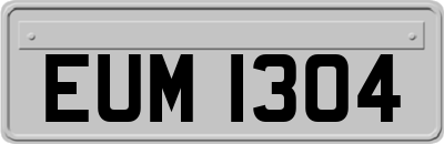 EUM1304