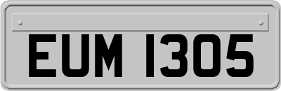 EUM1305