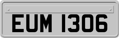 EUM1306