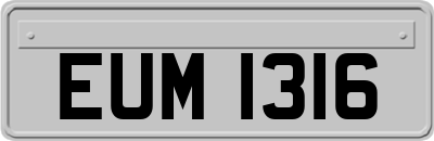 EUM1316