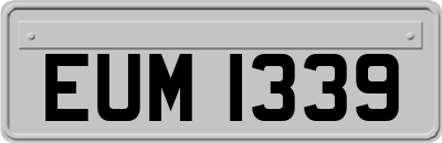 EUM1339