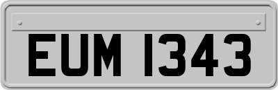 EUM1343