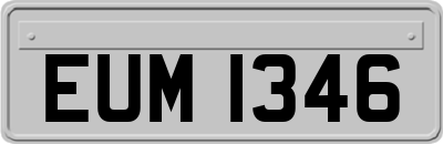 EUM1346