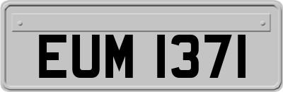 EUM1371