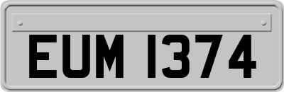 EUM1374