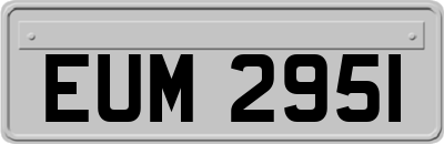 EUM2951