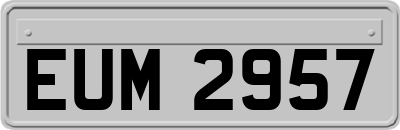 EUM2957
