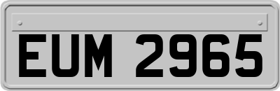 EUM2965