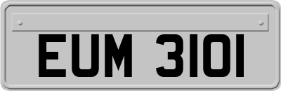 EUM3101