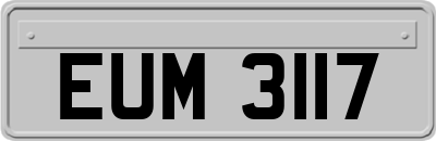 EUM3117