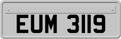 EUM3119