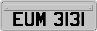 EUM3131