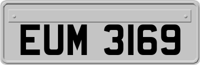EUM3169