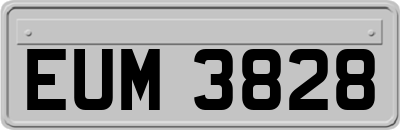 EUM3828