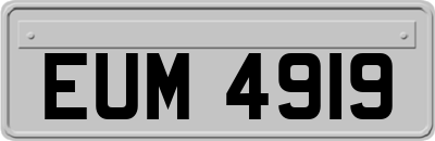 EUM4919