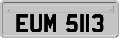 EUM5113