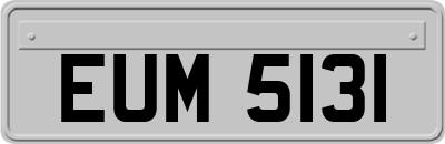 EUM5131