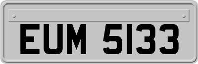 EUM5133