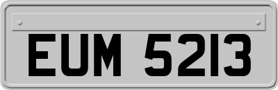 EUM5213
