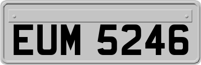 EUM5246