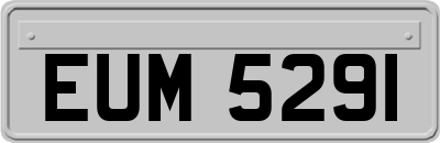 EUM5291