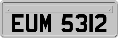 EUM5312