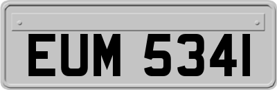 EUM5341
