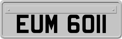 EUM6011