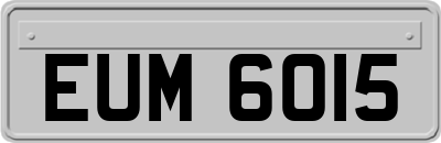 EUM6015