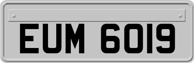 EUM6019