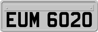 EUM6020