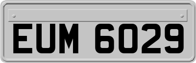 EUM6029