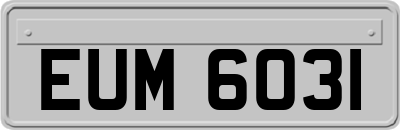 EUM6031