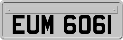EUM6061